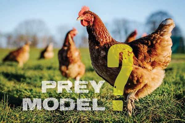 Prey model raw diet for dogs.