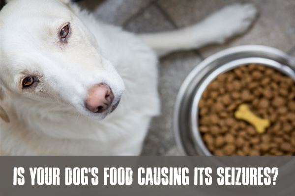 Is your dogs food causing its seizures?