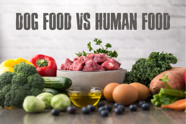 Dog food vs Human food