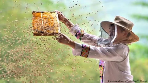 Beekeeping Suit with Veils