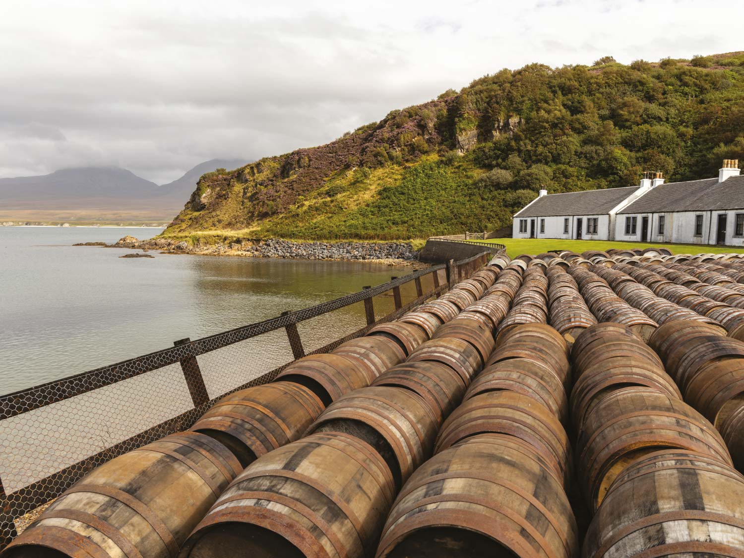 whisky-casks