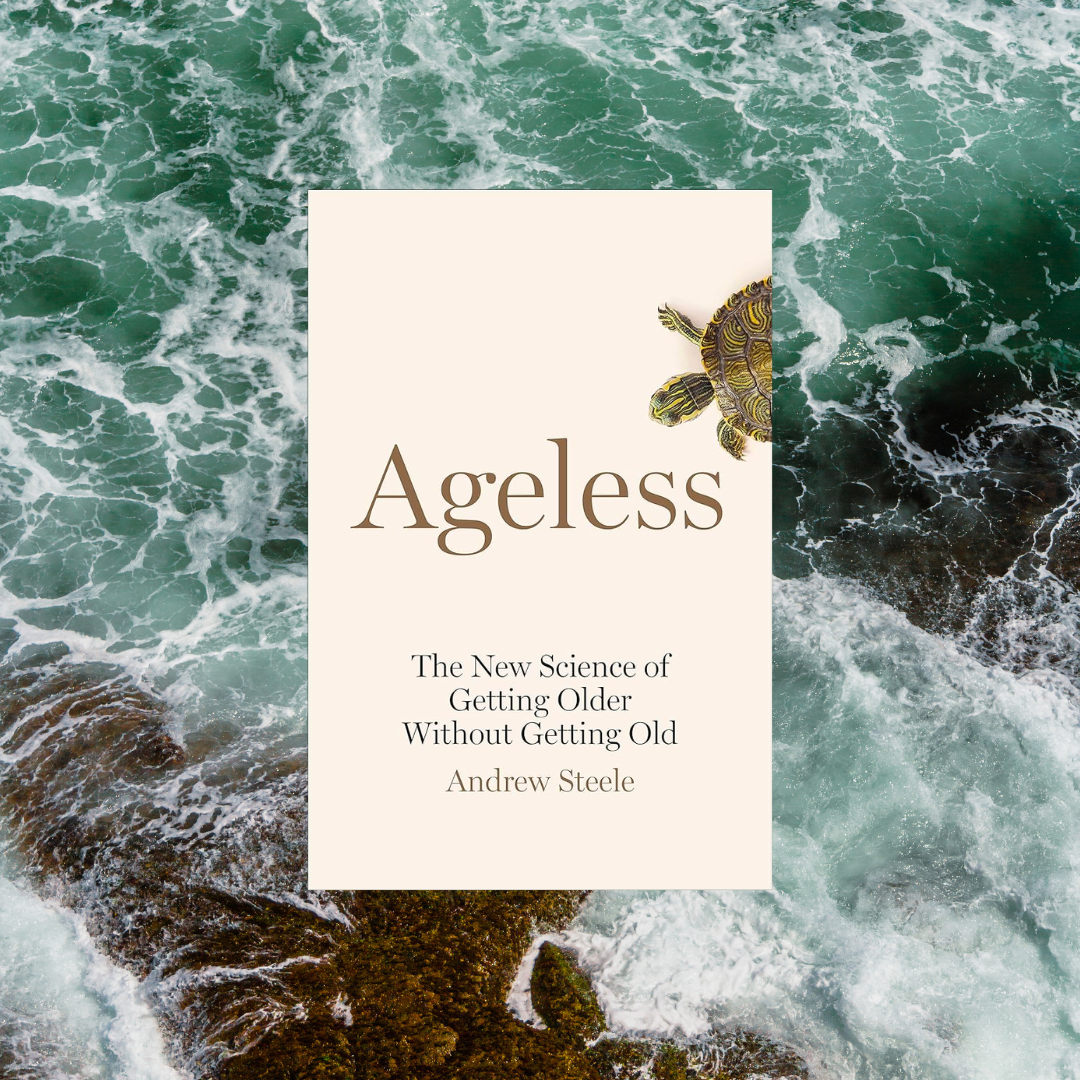 Ageless - Steele