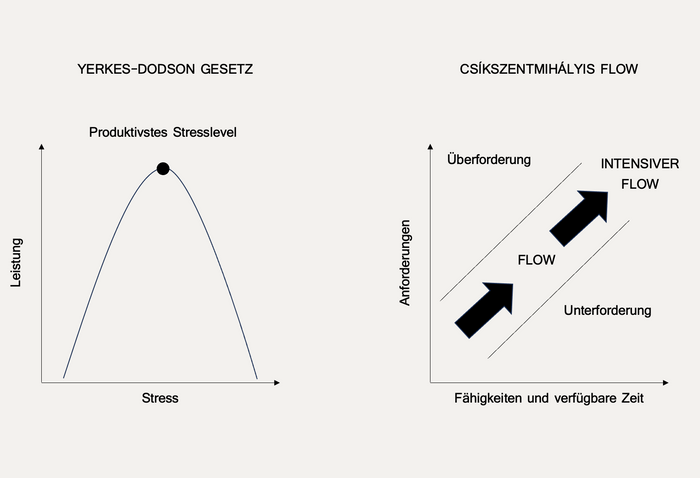 Yerkes Dodson Gesetz Flow Stress Leistung