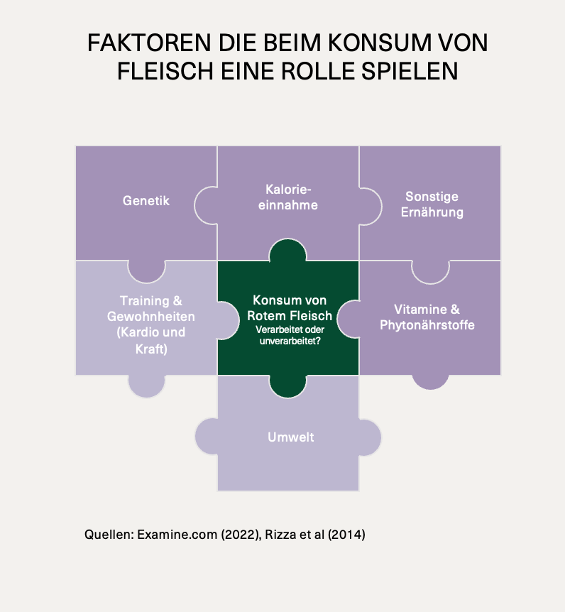 Faktoren beim Fleischkonsum