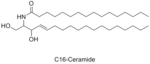 ceramides-thanh-phan-bao-ve-lop-mang-lipid-tren-da-itmf-1