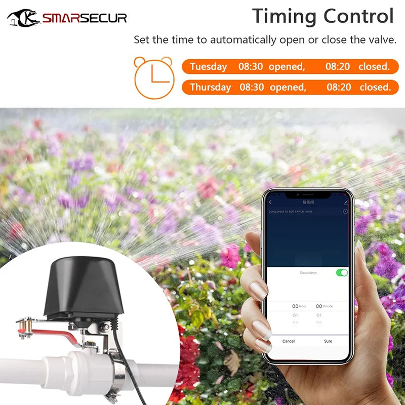 Zigbee EWelink Valve Smart Water/Gas Valve Automation Control 12V Smart Home Valve Work With Alexa Google Home Assistant