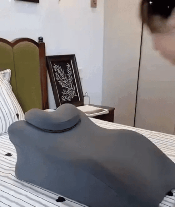 Animated Pillow Demo