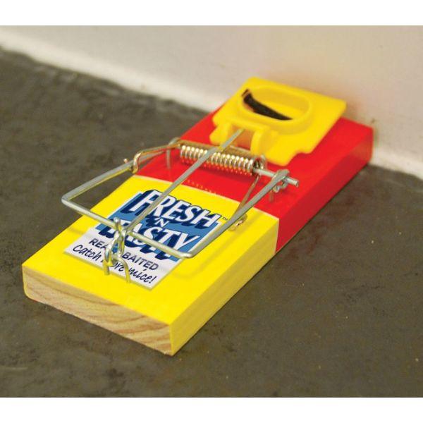 Big Cheese Baited Mouse Traps Twin Pack