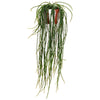 Rhipsalis paradoxa (Chain cactus) H120 cm