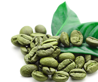 GREEN_COFFEE_BEAN