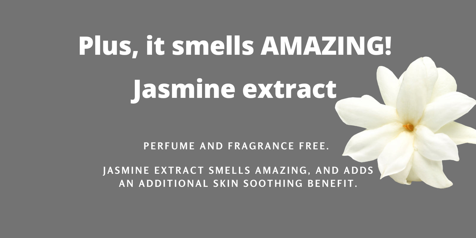 perfume and fragrance free antiaging serum