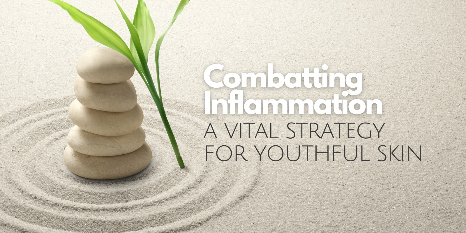 calming inflammation in skin. calming rosacea. inflammation and aging.