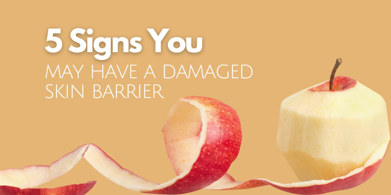 5 signs you have a damaged skin barrier. Victoria BC.