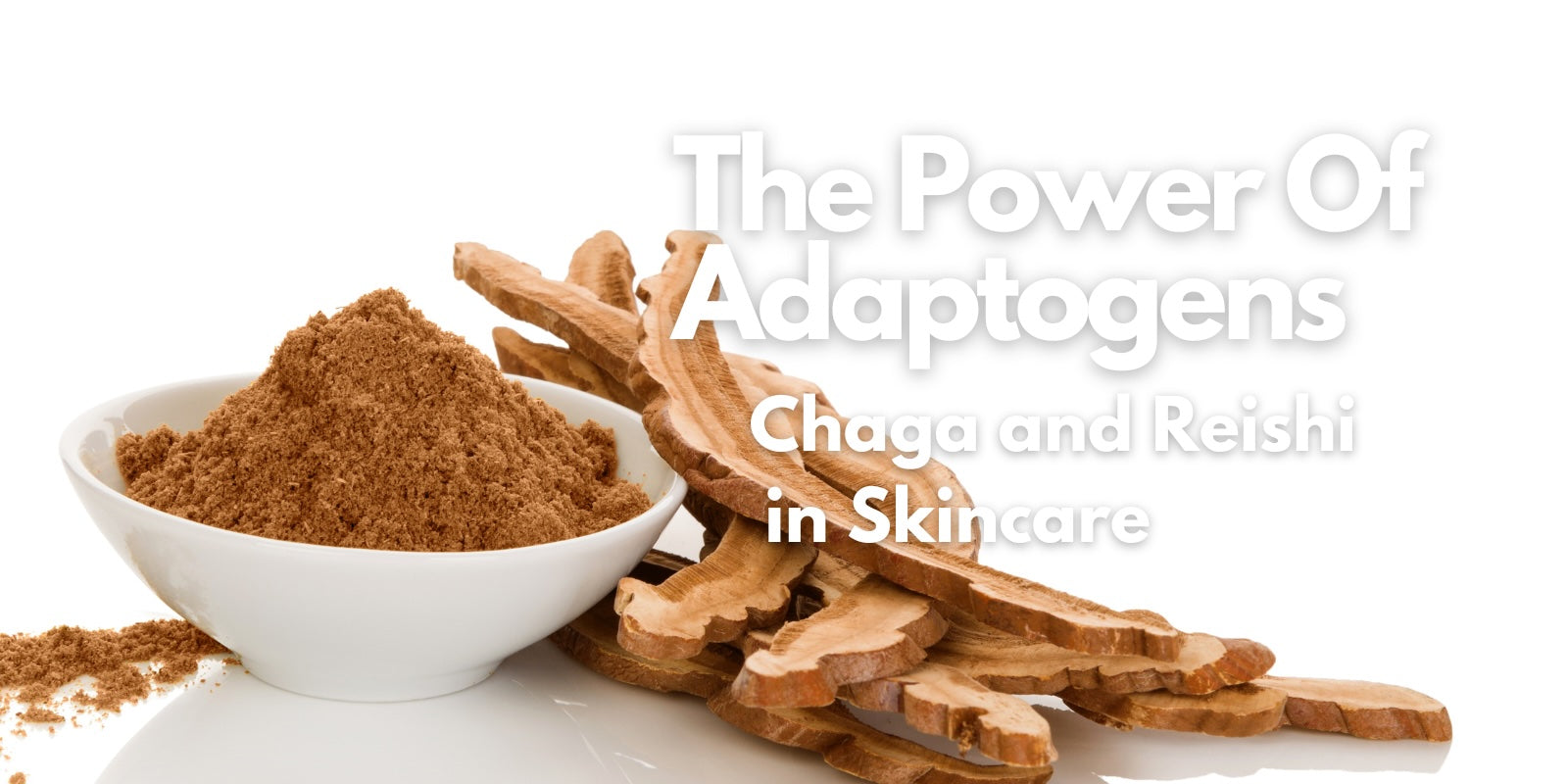 Beauty Trends 2024 adaptogens in skincare. Reishi and Chaga skincare