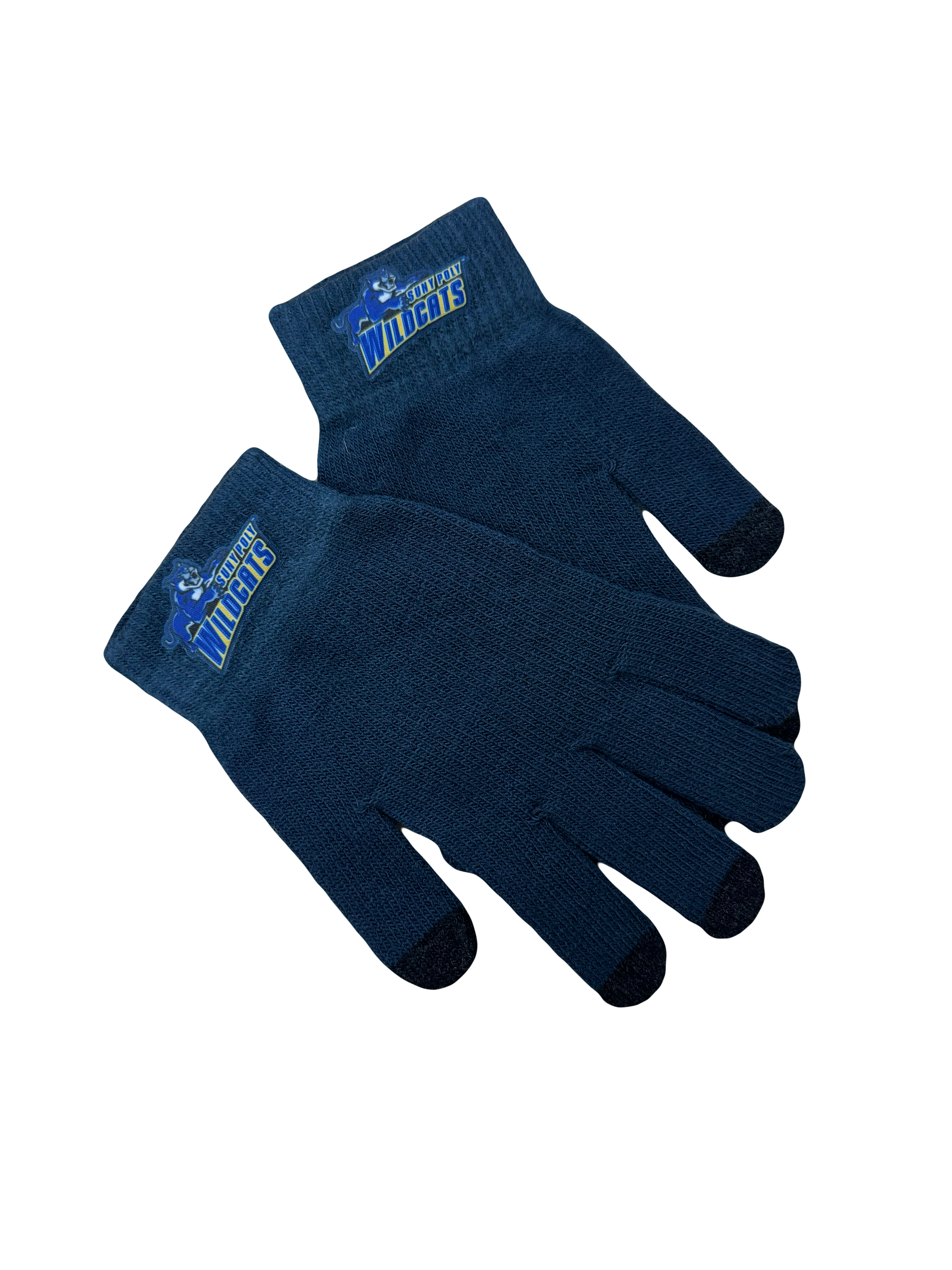 Knit SUNY Poly Texting Gloves