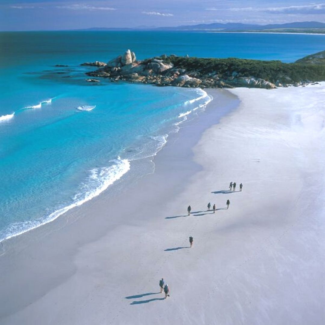 Bay Of Fires Walk For Wild