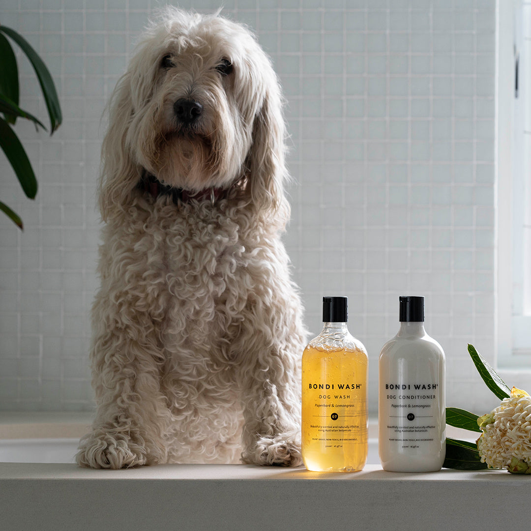 Bondi Wash Dog Pamper Duo (2x500ml)