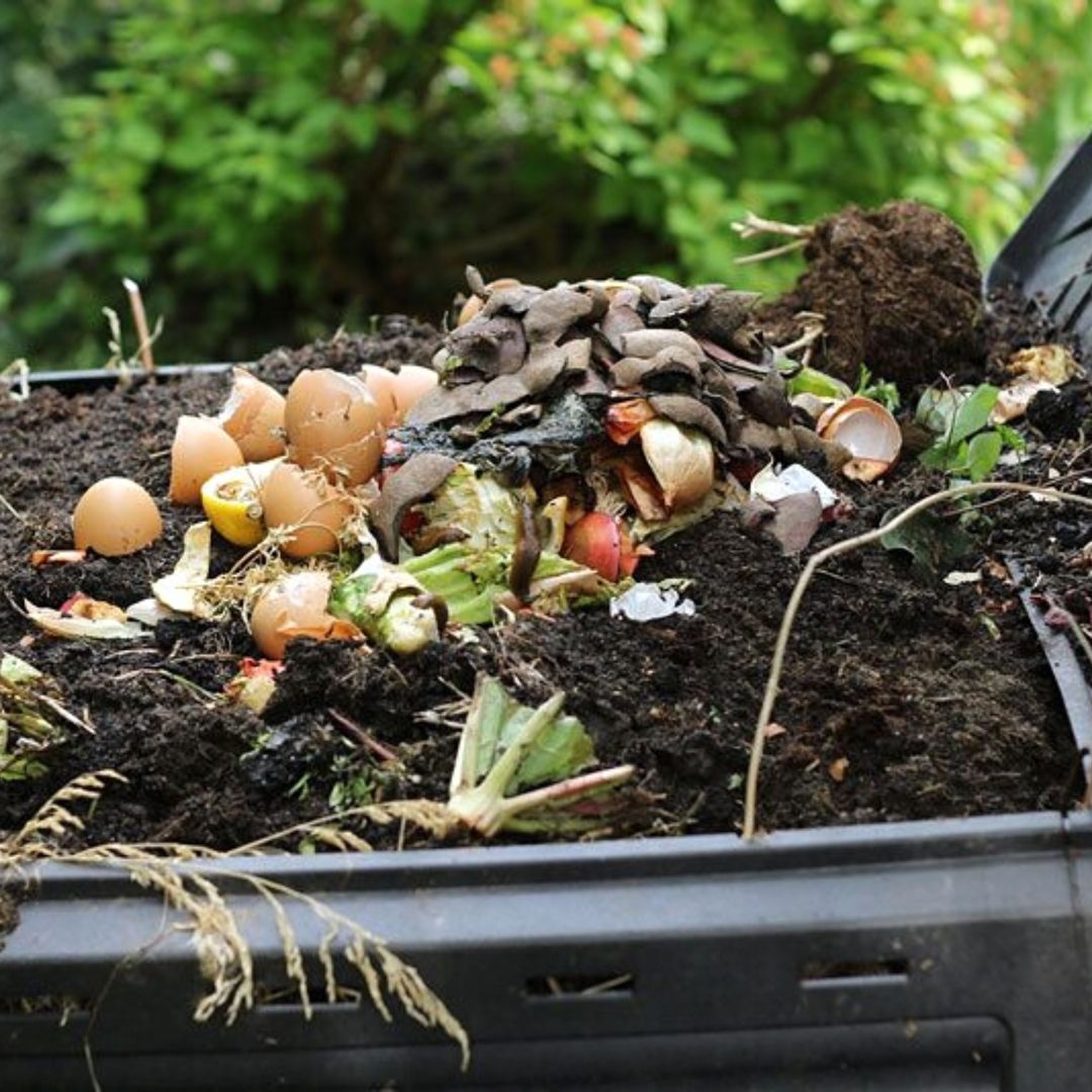 Compost Heap Food Scraps