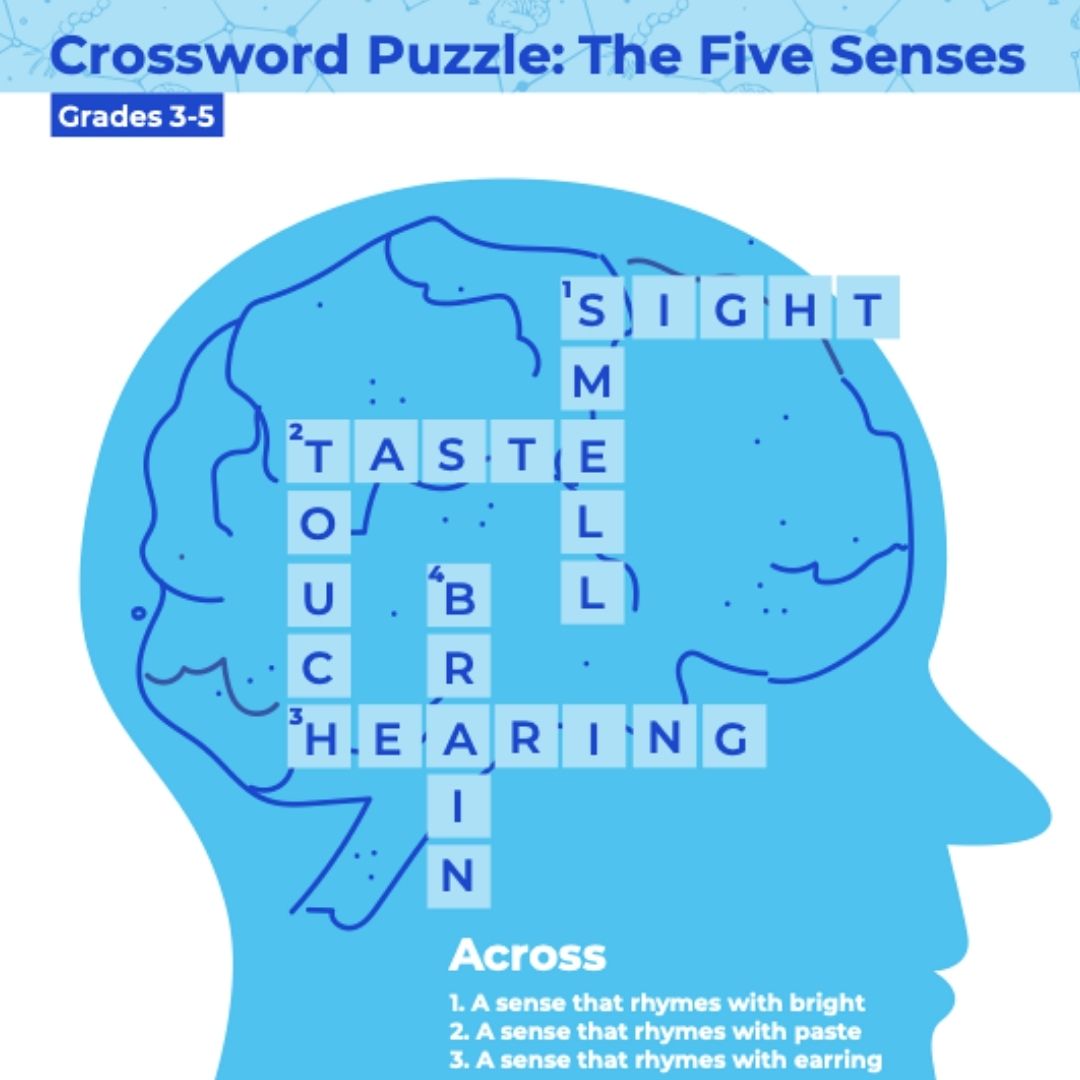 Brain Awareness Week Kids Crossword Puzzle