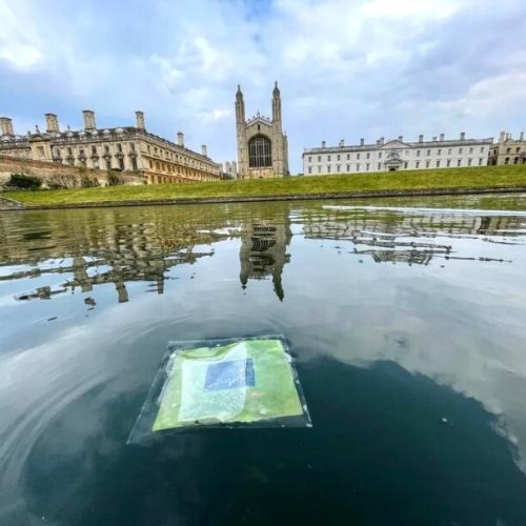 Floating Solar Leaf University Cambridge