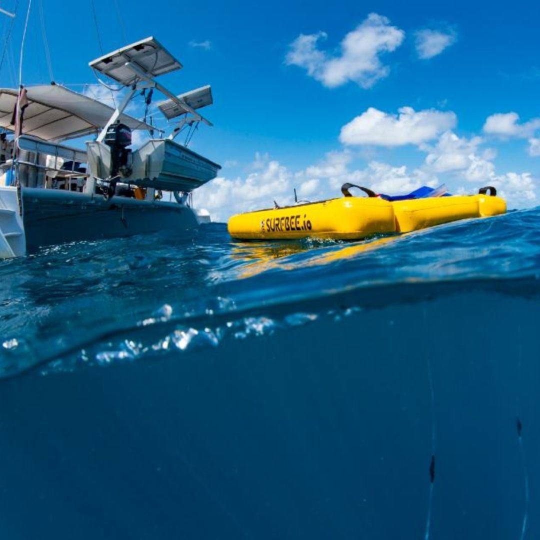 Great Barrier Reef Robot Great Barrier Reef Robot