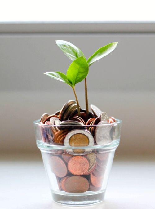 Sustainable Investment Money