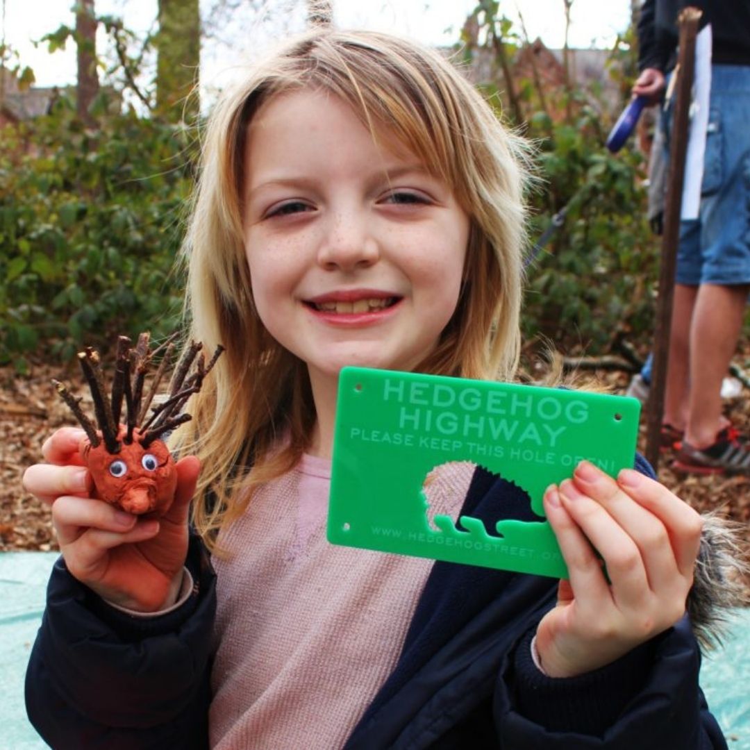 Hedgehog Street Hedgehog Champion