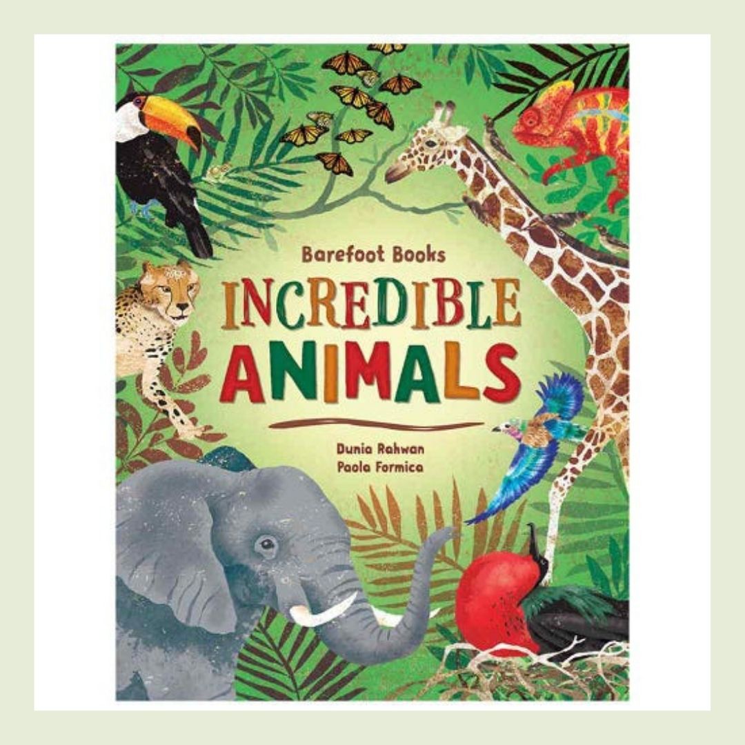 Incredible Animals Children's Book