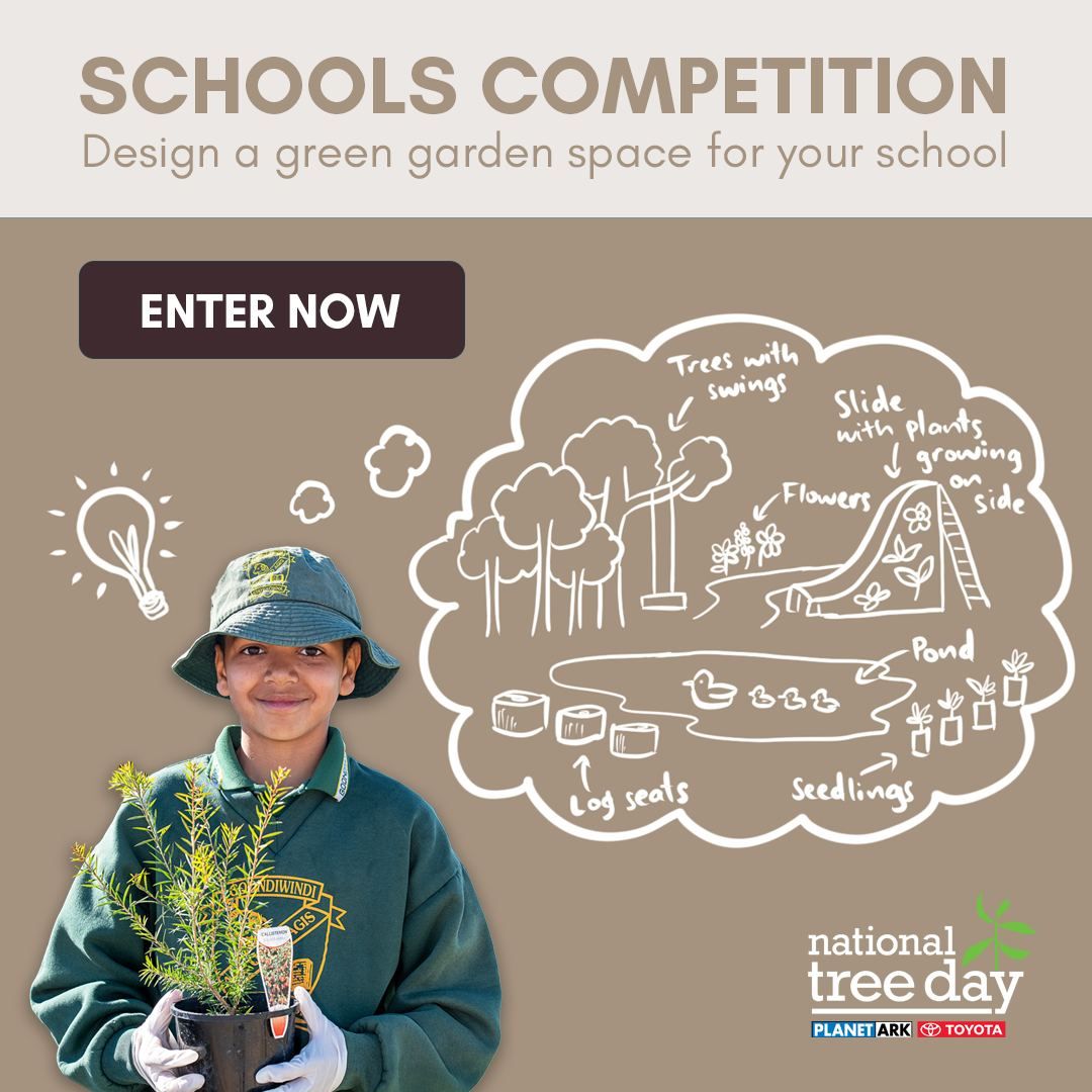 National Tree Day School Competition