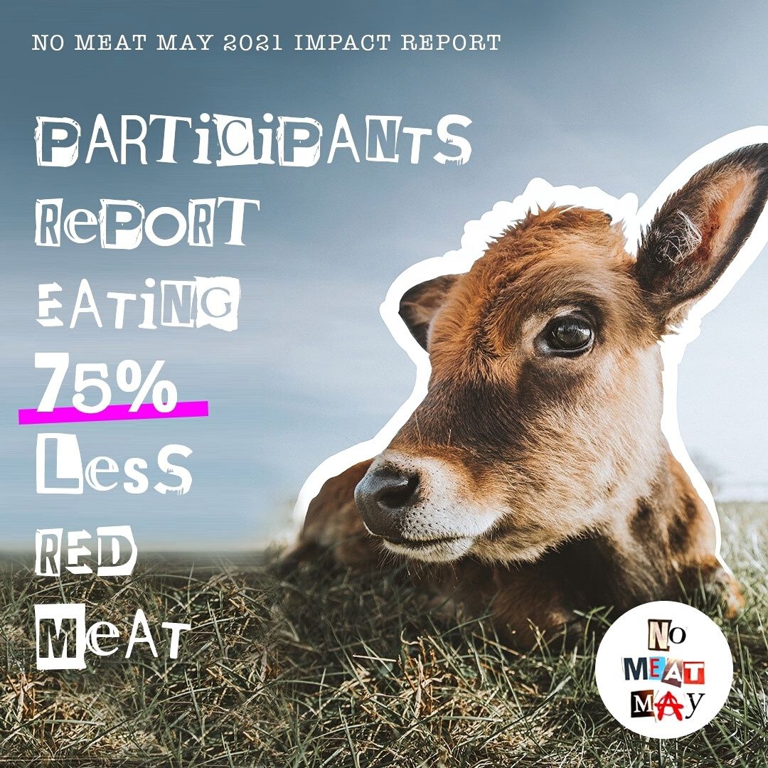 No Meat May 2021 Statistics