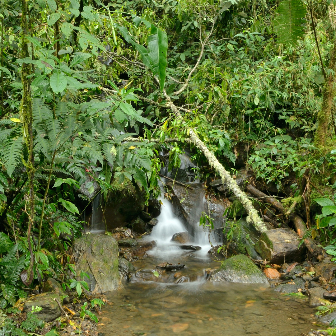 Santa Marta Mountain and Waterfall