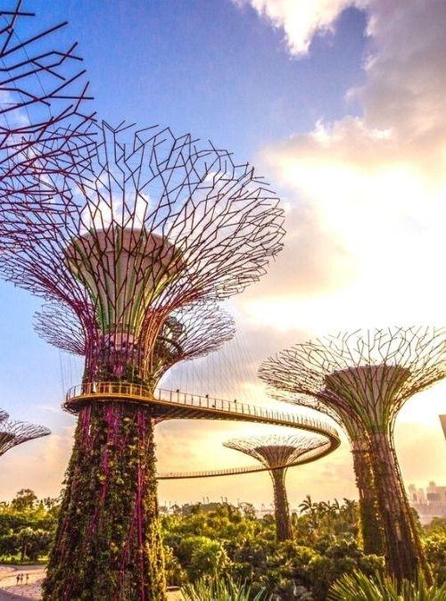 Singapore Gardens By The Bay