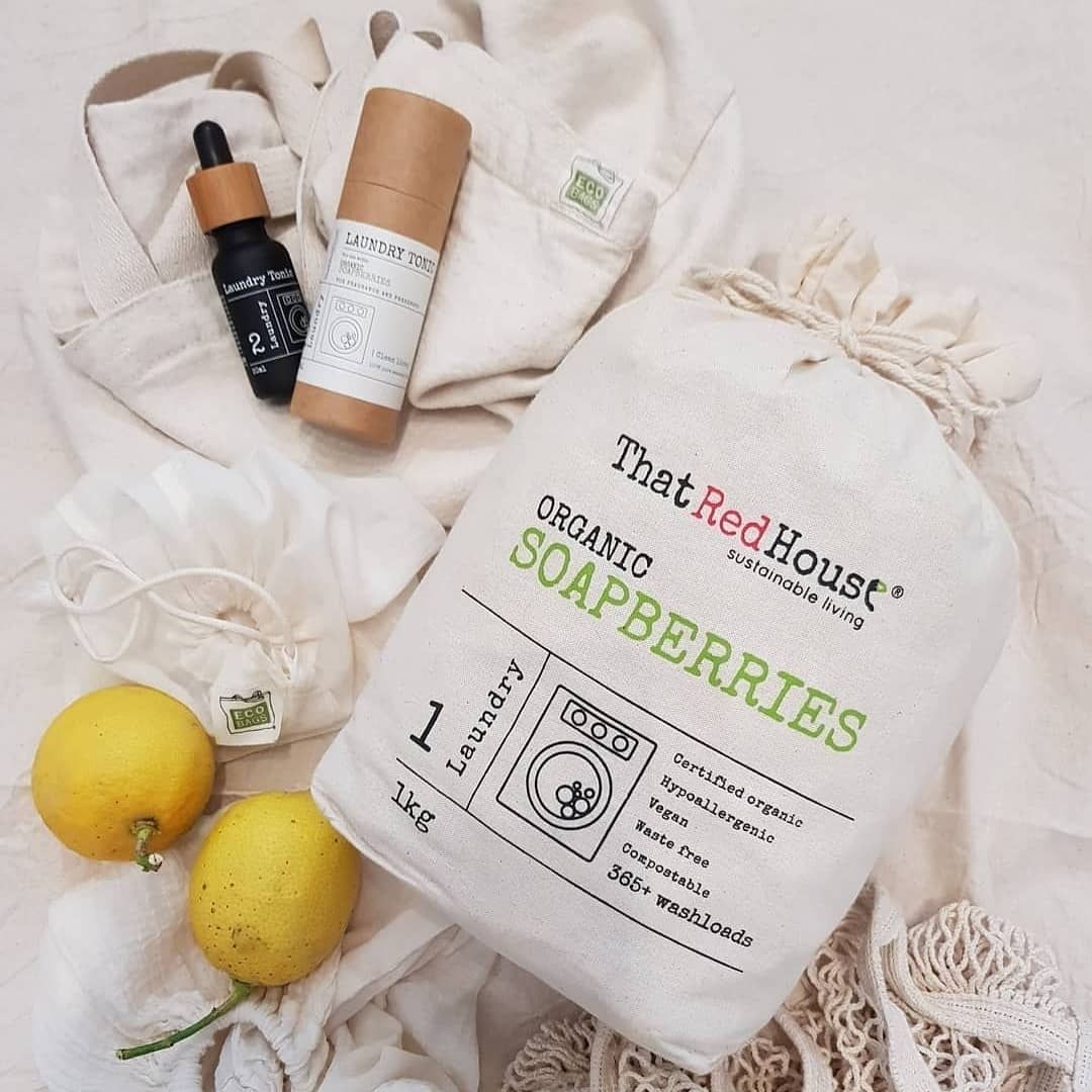  That Red House Soapberries & Laundry Tonic Kit