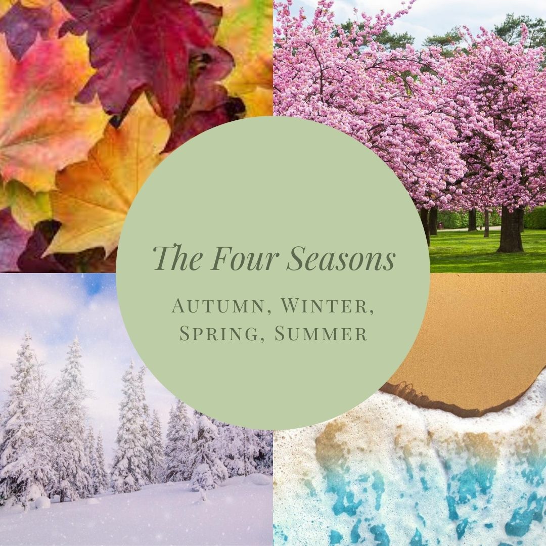 Four Seasons | Autumn, Winter, Spring, Summer