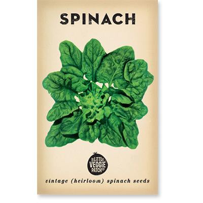 The Little Veggie Patch Co - Spinach Heirloom Seeds