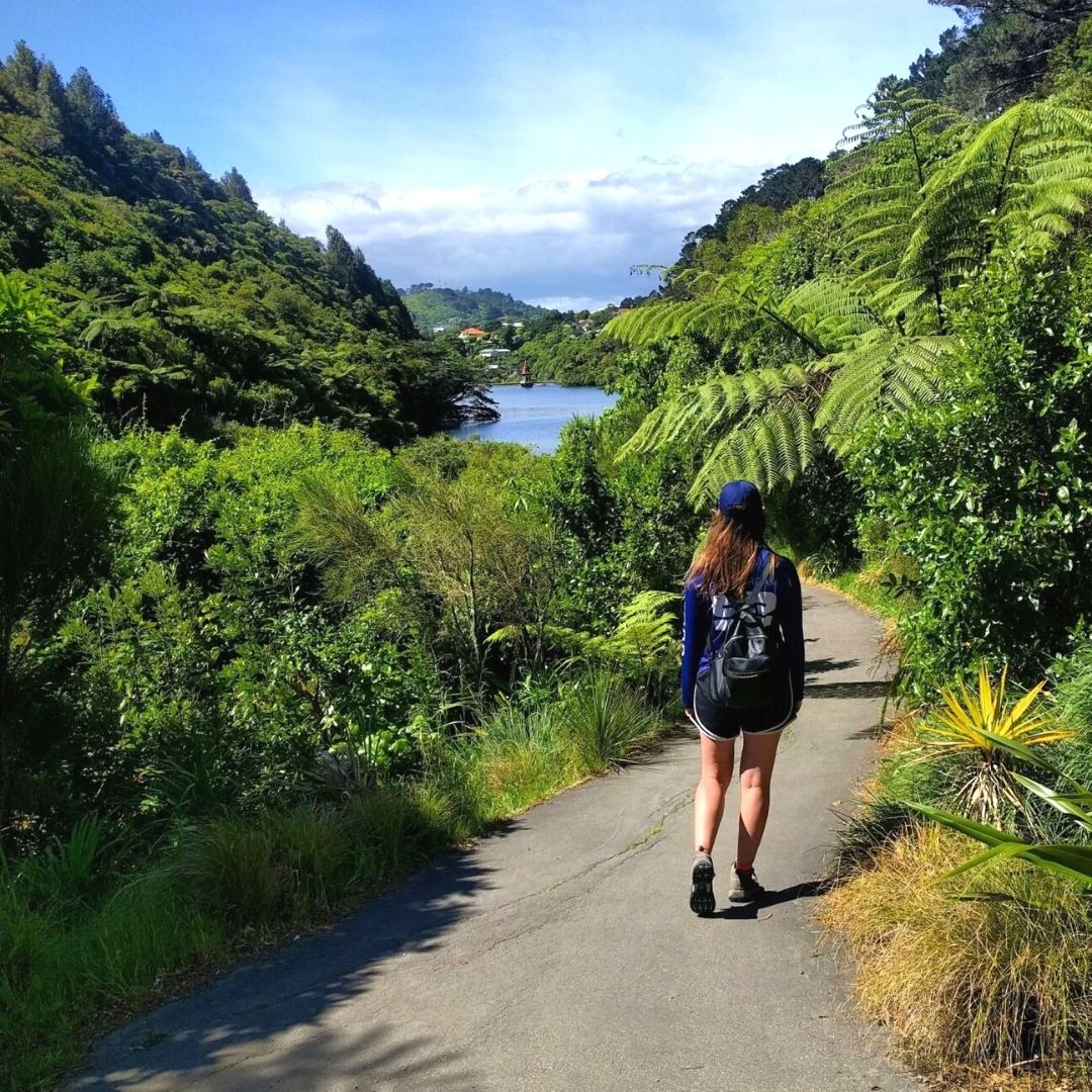 Visit Zealandia Real World Runaway
