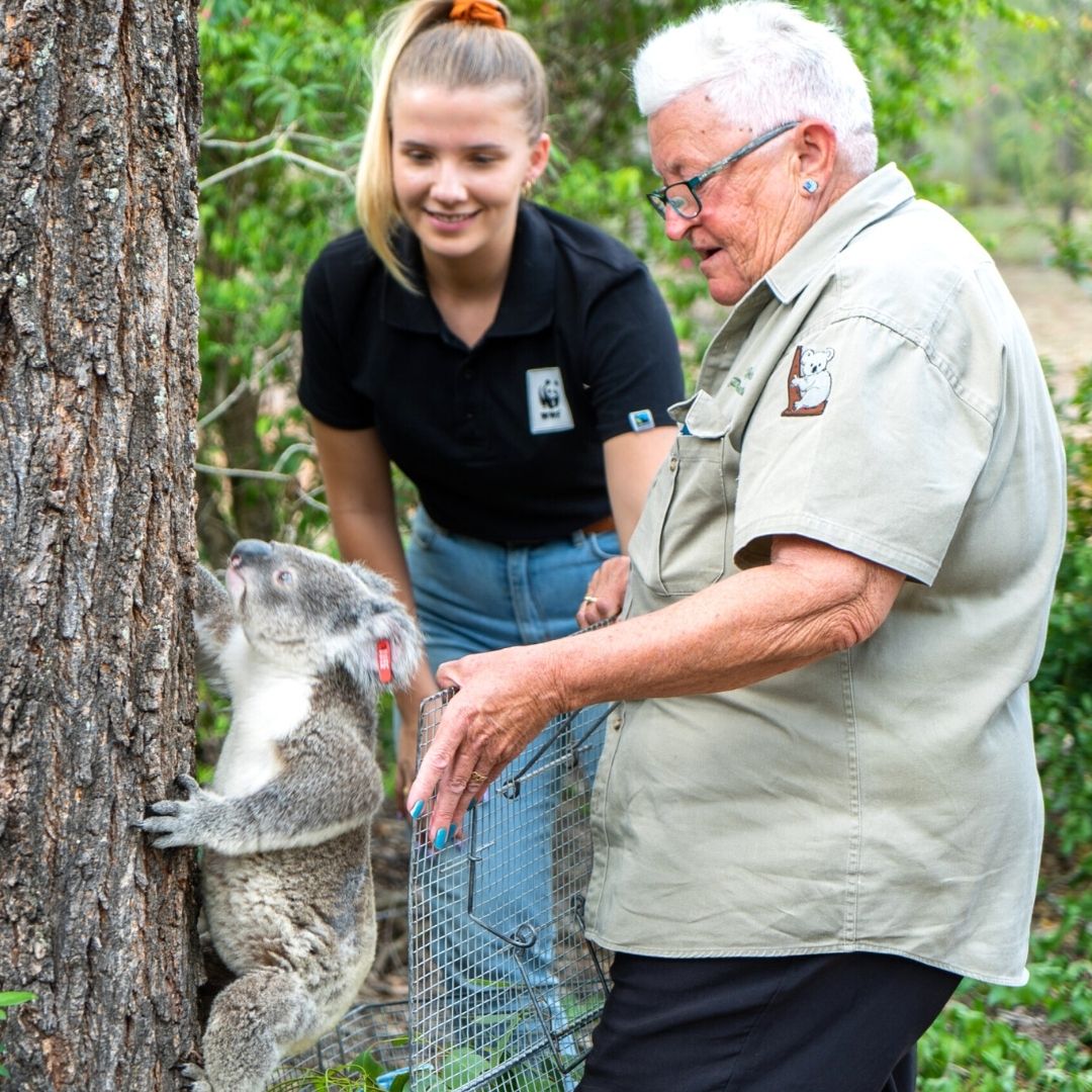 Walk For Wild Regenerate Program