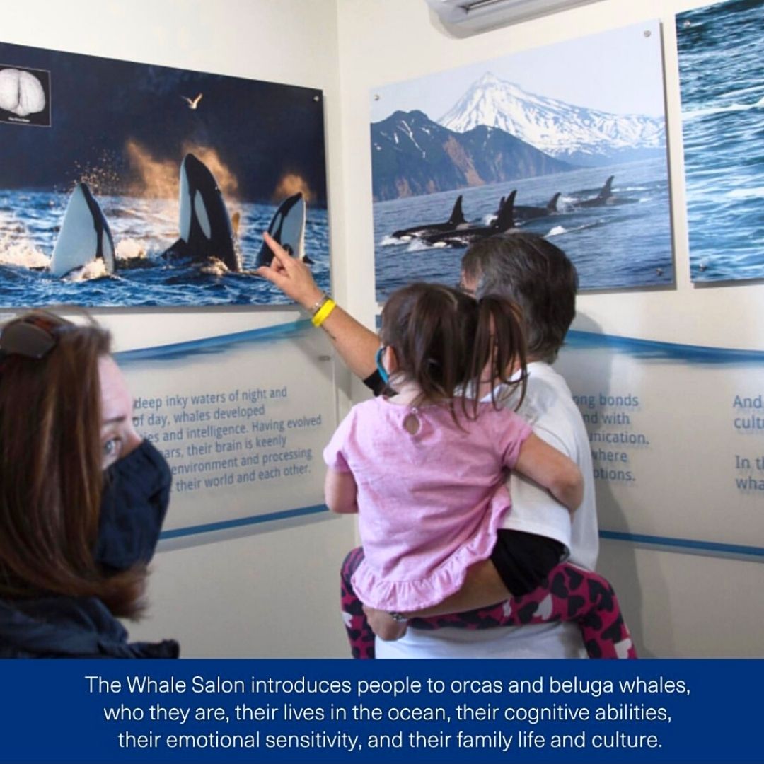 Whale Sanctuary Project Operations Center