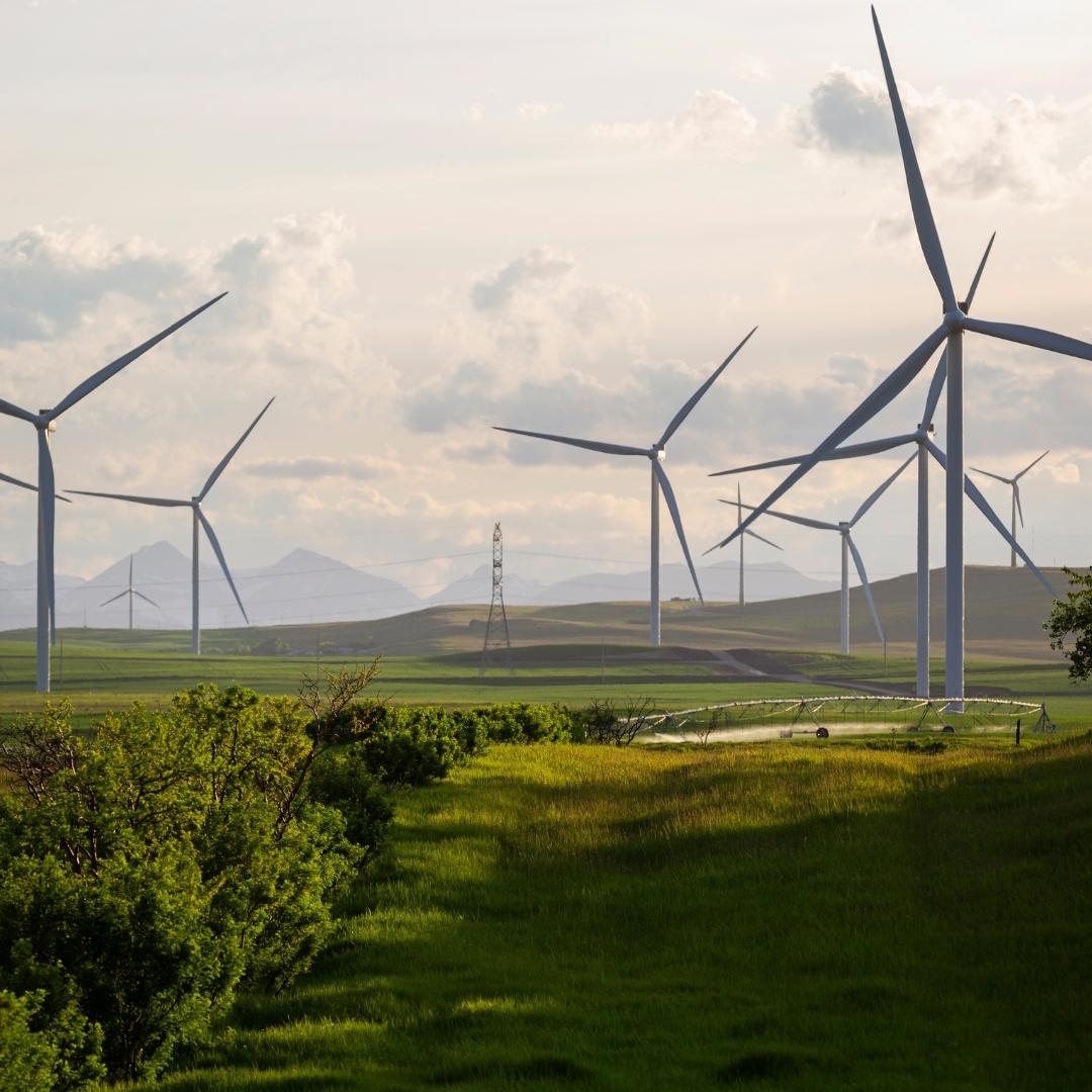 Denmark Wind Turbines