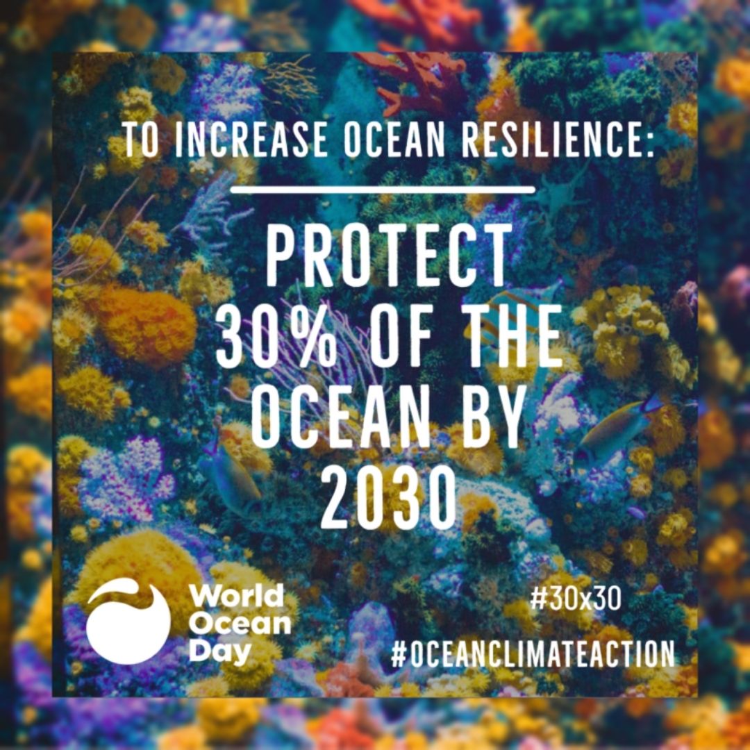 World Ocean Day Protect 30% of the Ocean by 2030