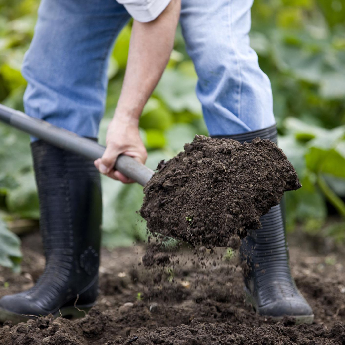 Cut down your emissions by composting