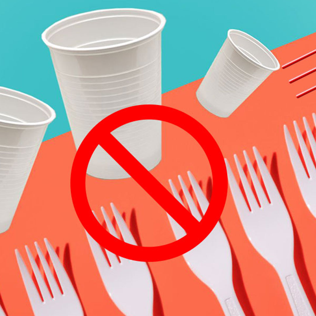 Which countries have banned single-use plastics?