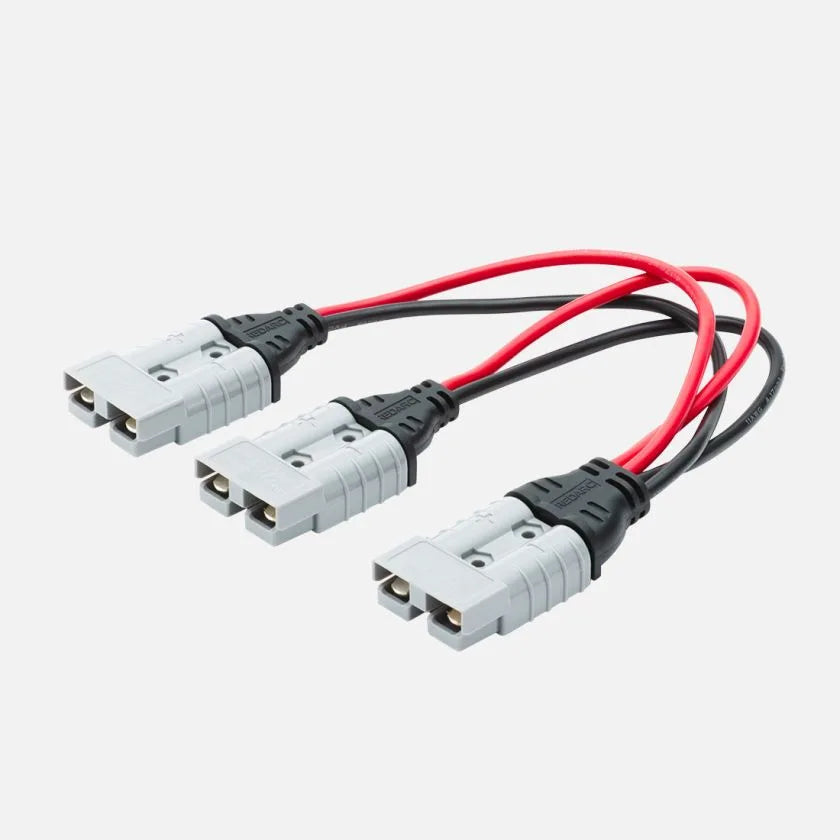 1 Ft Parallel Anderson To Anderson Cable