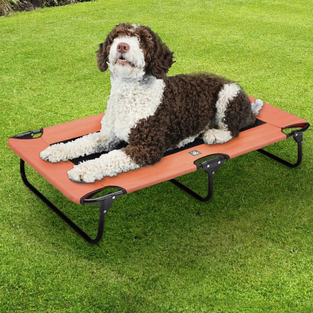 Folding Dog Cot mesh center for ventilation with foldable legs for easy travel - For pet up to 50 lbs