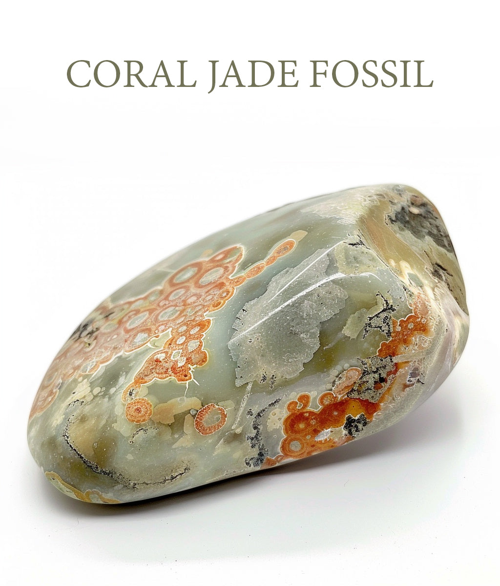 Coraljadefossil