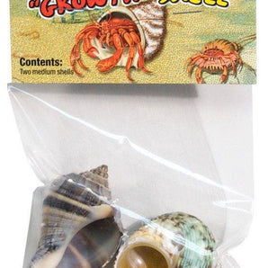 Zoomed Hermit Crab 2 Pack Growth Shell - medium – Brothers Country Supply
