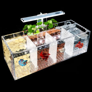 220V Creative Betta Fish Tank Breeding Incubator Isolation Box Water-free Desktop Small Acrylic Ecological Aquarium Tank - shopsmalltotallanimalsupply - Fish Breeding Tank