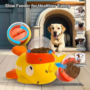 exercise product
