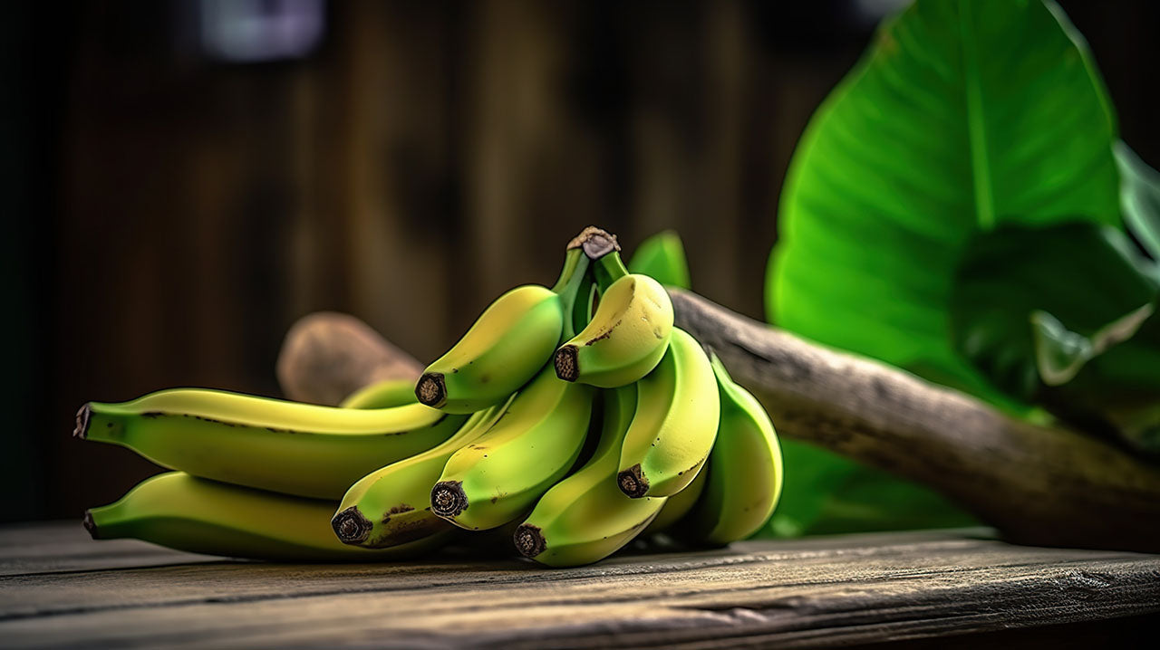 Empfehlungen zur Fütterung von Bananen