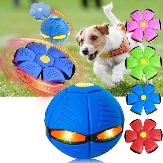 https://cdn.shopify.com/s/files/1/0772/3594/5805/files/frisball.webp?v=1692642996&width=533